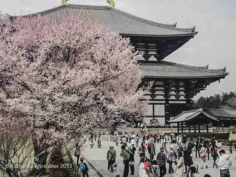 Die schönsten Tempel und Schreine in Japan – Tōdai-ji in Nara