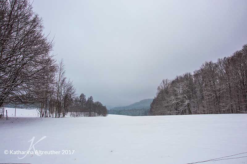 Die Sächsische Schweiz im Winter