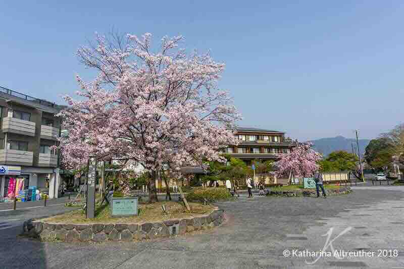 Zu Besuch in Arashiyama