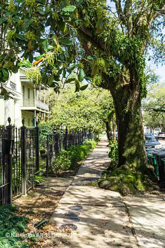 Der Garden District in New Orleans Der Garden District in New Orleans