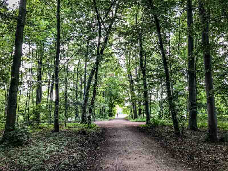 Stadtwald in Köln - Natur-Ausflugsziele in Köln