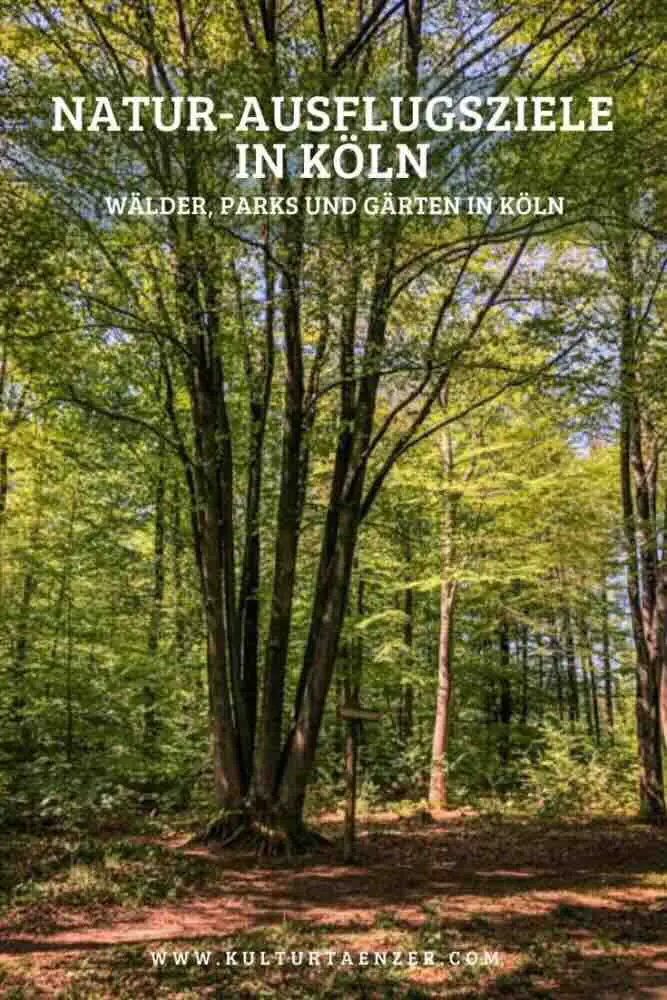 Natur-Ausflugsziele in Köln – Wälder, Parks und Gärten in Köln