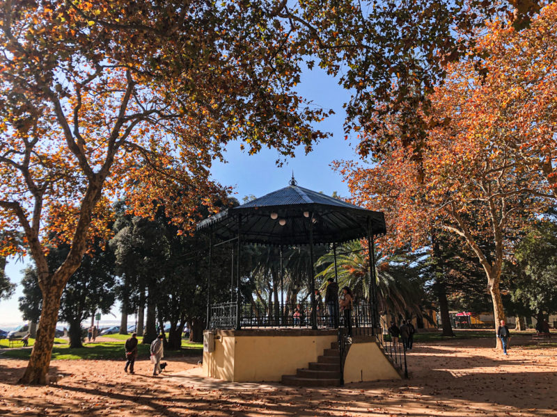 Porto im Herbst: herbstliche Märkte in Porto Porto im Herbst: herbstliche Märkte in Porto