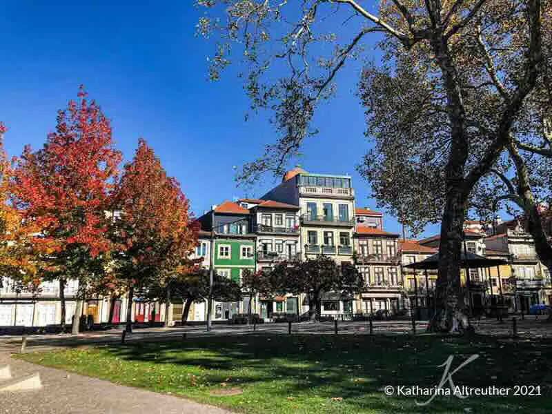 Porto im Herbst – 5 Gründe, warum du Porto im November besuchen solltest
