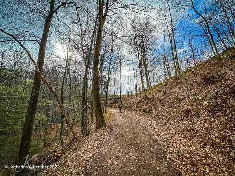 Wandern in der Vulkaneifel – Entlang der schönsten Landschaftspfade in Rheinland-Pfalz