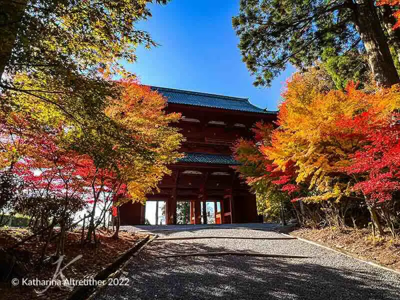 Herbstlaub in Japan – Daimon am Kōya-san