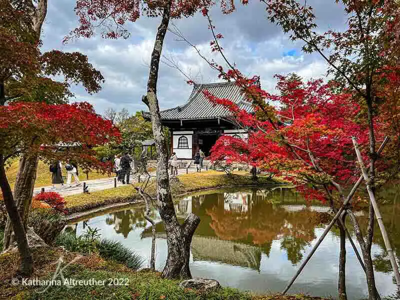Herbstlaub in Japan – Kodai-ji in Kyoto