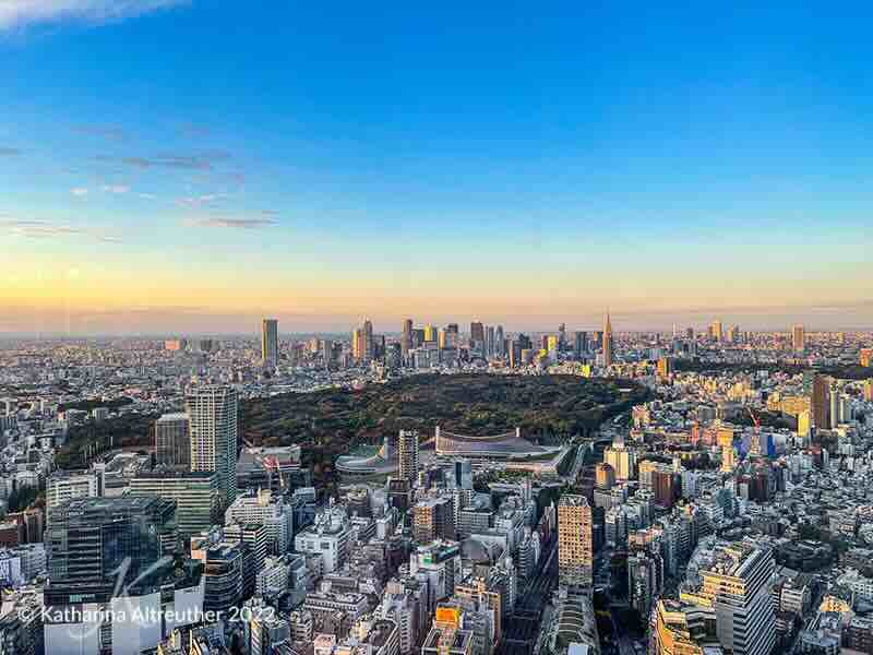 Herbstlaub in Japan – Aussicht auf Tokyo