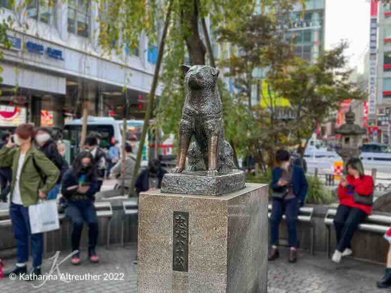Tokyo Sehenswürdigkeiten und Highlights – Hachio in Shibuya