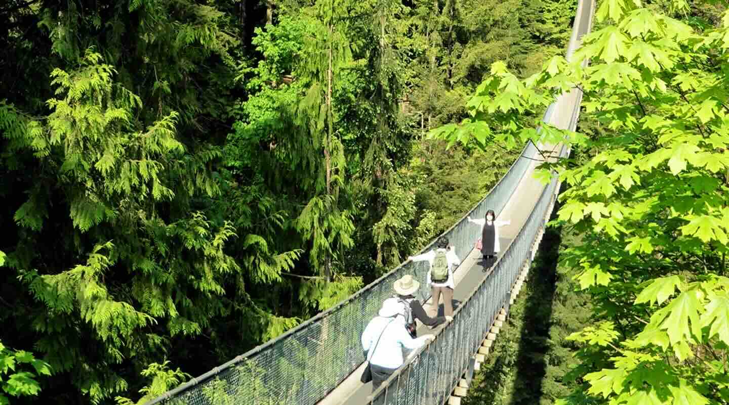 Nervenkitzel in Vancouver – Capilano Suspension Bridge