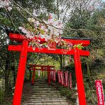 Fukuoka Top 10 Sehenswürdigkeiten – Die schönsten Sehenswürdigkeiten und Tipps für Fukuoka