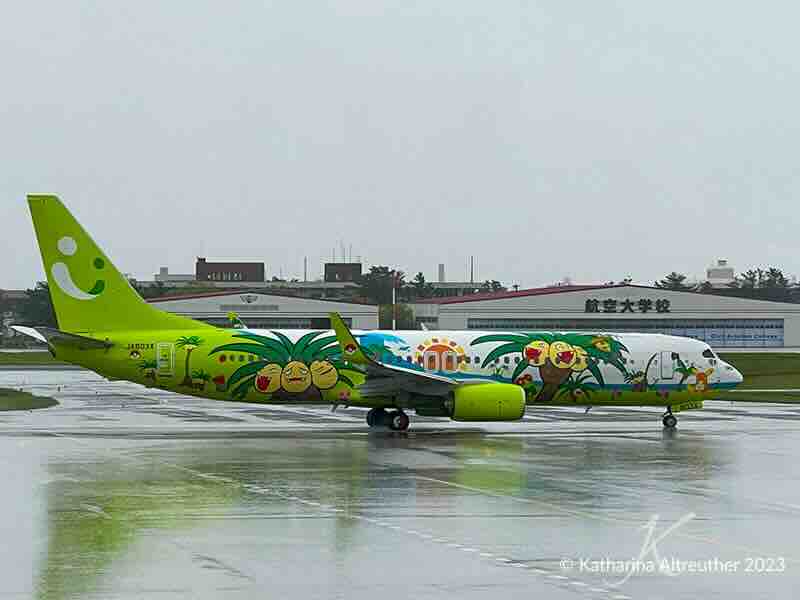 Flugzeug nach Okinawa