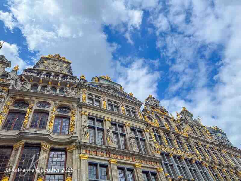 Brüssel – Zunfthäuser