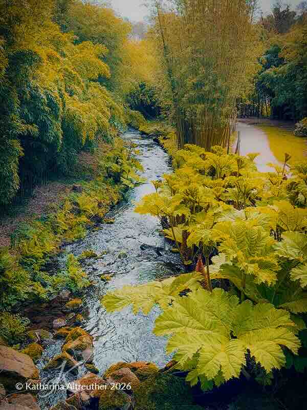 Unterwegs in der Bretagne – Botanischer Garten von Brest